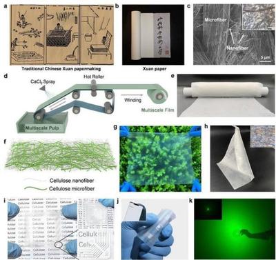 中國(guó)科學(xué)技術(shù)大學(xué)引領(lǐng)創(chuàng)新 新型柔性顯示膜材料問世，開啟顯示技術(shù)新篇章